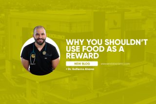 Why You Shouldn’t Use Food As a Reward